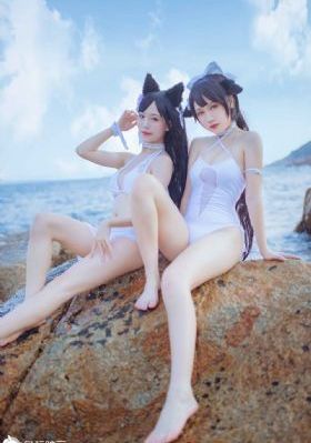 电视剧我的团长我的团
